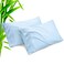 TELUS Pillow Cases Queen Size 2 Pack Bamboo Rayon Pillowcases with Envelope Closure Cooling Breathable Pillow Case for Hot Sleepers Night Sweats 20x30 inches Aqua Blue