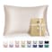 Bedsure Satin Pillowcase with Zipper Similar to Silk Pillow Cases 2 Pack Beige Standard Size Satin Pillow Case Silky Soft Pillow Covers Valentines Day Gifts for Women Men 20x26 Inches