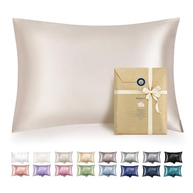 Bedsure Satin Pillowcase with Zipper Similar to Silk Pillow Cases 2 Pack Beige Standard Size Satin Pillow Case Silky Soft Pillow Covers Valentines Day Gifts for Women Men 20x26 Inches