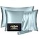 DKBslik Silk Pillow Cases 2 Pack Mulberry Silk Pillowcases Standard Set of 2 Smooth Anti Acne Beauty Sleep Both Sides Natural Silk Satin Pillow Cases for Women 2 Pack with Zipper for Gift Aqua Blue