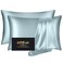 DKBslik Silk Pillow Cases 2 Pack Mulberry Silk Pillowcases Standard Set of 2 Smooth Anti Acne Beauty Sleep Both Sides Natural Silk Satin Pillow Cases for Women 2 Pack with Zipper for Gift Aqua Blue