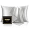 INFIIXSO Mulberry Silk Pillowcase for Hair and Skin Silk Pillow Cases Standard Size with Hidden Zipper 20x26 Inches Ultra Smooth and Soft Cooling Pillow Cases for Hot SleepersLight Grey 1 Pack