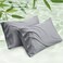 Bedsure Pillow Cases Queen Cooling Pillow Cases Rayon Derived from Bamboo Silver Grey Pillowcases Queen Size Set of 2 PureWoven Silky Soft Bedding Pillow Covers with Envelope Closure 20x30 Inches