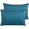 NTBAY Egyptian Cotton Queen Pillowcases Set of 2 500 Thread Count Cotton Pillowcases Soft and Breathable Envelope Closure Pillow Cases 20x30 Pillow Covers for Bed Slate Blue