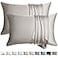 WLOSJ 100 Silk Pillow Cases 2 Pack Queen Size Mulberry Silk Pillowcase for Hair and Skin Set of 2 Highest Grade 6A Silk Soft Breathable Cooling with Hidden Zipper Grey
