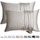 WLOSJ 100 Silk Pillow Cases 2 Pack Queen Size Mulberry Silk Pillowcase for Hair and Skin Set of 2 Highest Grade 6A Silk Soft Breathable Cooling with Hidden Zipper Grey