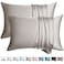 WLOSJ 100 Silk Pillow Cases 2 Pack Queen Size Mulberry Silk Pillowcase for Hair and Skin Set of 2 Highest Grade 6A Silk Soft Breathable Cooling with Hidden Zipper Grey