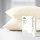Mayfair Linen 100 Egyptian Cotton Pillow Cases Queen Size Set of 2 Luxury 500 Series Soulmate Collection Cotton Pillowcases Ivory Silky Soft Cooling Breathable Standard Size Pillow Case