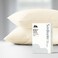 Mayfair Linen 100 Egyptian Cotton Pillow Cases Queen Size Set of 2 Luxury 500 Series Soulmate Collection Cotton Pillowcases Ivory Silky Soft Cooling Breathable Standard Size Pillow Case
