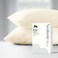 Mayfair Linen 100 Egyptian Cotton Pillow Cases Queen Size Set of 2 Luxury 500 Series Soulmate Collection Cotton Pillowcases Ivory Silky Soft Cooling Breathable Standard Size Pillow Case