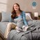 Bare Home Super Soft Fleece Sheet Set Queen Size Extra Plush Polar Fleece NoPilling Bed Sheets All Season Cozy Warmth Queen Light Grey