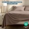 Bare Home Super Soft Fleece Sheet Set Queen Size Extra Plush Polar Fleece NoPilling Bed Sheets All Season Cozy Warmth Queen Taupe