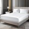 BEDELITE Satin Fitted Sheet and Pillowcases Set Luxury Soft Similar to Silk Bottom Bed Sheet with Elastic Corner Straps Deep Pocket up to 15 Inch 1 Fitted Sheet and 2 PillowcasesQueenWhite