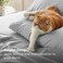 Bedsure Twin Sheets Set 3 Pieces Soft Twin Bed Sheets Breathable Cooling Hotel Luxury Easy Care Polyester Microfiber Bedding for Kids Women Men Grey