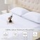 Homilay Twin Size Bed Sheet Set 3 Piece Soft Microfiber Sheets with Deep Pockets Cooling Technology and WrinkleFree Pillowcase HotelQuality Durable Bedding Brilliant White