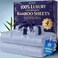 DECOLURE 100 Viscose Derived from Bamboo Sheets Queen Size Luxury 4 Pc Naturally Cooling Sheets Ultra Soft Bed Set Deep 17 Pockets Durable Double Stitching Oeko Tex Standard Light Blue