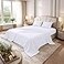 DAN RIVER Queen Jersey Sheet Set Luxury 100 Cotton Bed Sheets TShirt Sheets All Season Bedding Soft Comfortable Deep Pocket Jersey Cotton Bed Sheets 4Pc Queen White