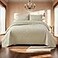 Brandream Luxury Beige Quilt Bedding Set King Size Cotton Luxury Elegant Medallion Matelasse Coverlet Set 3Piece