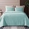 Whale Flotilla Twin Quilt Bedding Set Soft Aqua Blue Bedspreads Quilts Twin XL Size for All Seasons 2 Pieces Lightweight Geometric Star Pattern Coverlet