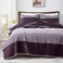 Andency Stripe Quilt Set Queen96x90Inch 3 Pieces 1 Striped Quilt and 2 Pillowcases Purple and Grey Patchwork Bedspread Coverlet Set Soft Quilted Bedding Set