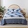 HoneiLife Quilt Sets Twin Size 2 Piece Microfiber Quilts Reversible Bedspreads Patchwork Coverlets Floral Bedding Set All Season Quilts with Blue and White Porcelain Pattern