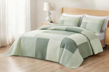 Chezmoi Collection Elm 3Piece Chic Patchwork Quilt Set Green Floral Striped Coverlet PreWashed Cotton Lightweight Reversible Bedspread King Size