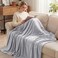 Exclusivo Mezcla Fleece Blankets Queen Size for Bed Super Soft and Warm All Season Cozy Plush Lightweight 90x90 Inches Light Grey