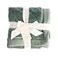 Saranoni SARANONI Oversized Luxury Blanket Breathable Super Soft Lush Plush Comfy Blankets for Adults Eucalyptus XLarge 60 x 80