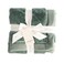 Saranoni SARANONI Oversized Luxury Blanket Breathable Super Soft Lush Plush Comfy Blankets for Adults Eucalyptus XLarge 60 x 80