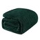 Exclusivo Mezcla Fleece Bed Blanket Queen Size Lightweight Jacquard for Spring Summer Soft Cozy Breathable Blankets Forest Green 90x90 Inches