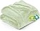 Utopia Bedding Fleece Blanket Queen Size Sage Green 300GSM Luxury Fuzzy Soft AntiStatic Microfiber Bed Blanket 90x90 Inch