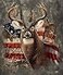SVT JQL JQ AmericanDeer Heavy 3 KG blanket Queen Size