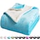 LBRO2M Sherpa Fleece Bed Blanket Fuzzy Plush Warm Super Soft Cozy Fluffy Microfiber Couch Teal Twin65x90 Inches