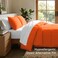 Bare Home Comforter Set Queen Size UltraSoft Goose Down Alternative Premium 1800 Series All Season Warmth Queen Orange