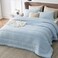 Bedsure Queen Comforter Set Cooling and Warm Bed Set ICY Blue Reversible Bedding for All Season 3 Pieces 1 Queen Size Comforter 88x88 and 2 Pillow Cases20x26
