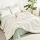 Litanika Ivory Comforter Set Queen Size 3 Pieces Lightweight Solid Bedding Comforter Set All Season Fluffy Bed Set 90x90In Comforter 2 Pillowcases
