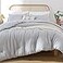 ROSGONIA Gray Comforter Set Queen 3pcs1 Boho Light Grey Comforter 2 Pillowcases All Season Soft Bedding Lightweight Bedspread Blanket Quilt