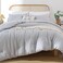 ROSGONIA Gray Comforter Set Queen 3pcs1 Boho Light Grey Comforter 2 Pillowcases All Season Soft Bedding Lightweight Bedspread Blanket Quilt