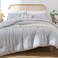 ROSGONIA Gray Comforter Set Queen 3pcs1 Boho Light Grey Comforter 2 Pillowcases All Season Soft Bedding Lightweight Bedspread Blanket Quilt