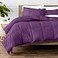 Bare Home Comforter Set Queen Size UltraSoft Goose Down Alternative Premium 1800 Series All Season Warmth Queen Plum