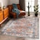 CHAMPLANT Washable Area Rug 5x7 Retro Boho Chic Medallion Distressed Design Living Room Indoor NonSlip Large Oriental Accent Throw Rug for Kitchen Bedroom Office Carpet
