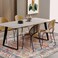 CHAMPLANT Washable Area Rug 5x7 Retro Boho Chic Medallion Distressed Design Living Room Indoor NonSlip Large Oriental Accent Throw Rug for Kitchen Bedroom Office Carpet