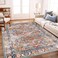 CHAMPLANT Washable Area Rug 5x7 Retro Boho Chic Medallion Distressed Design Living Room Indoor NonSlip Large Oriental Accent Throw Rug for Kitchen Bedroom Office Carpet