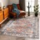 CHAMPLANT Washable Area Rug 5x7 Retro Boho Chic Medallion Distressed Design Living Room Indoor NonSlip Large Oriental Accent Throw Rug for Kitchen Bedroom Office Carpet