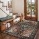 Ciicool 3x5 Entryway RugIndoor Washable NonSlip Thin Area Rugs for Large Kitchen Bedroom Bedside Living RoomDistressed Boho Carpet Home Decor