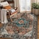 Ciicool 3x5 Entryway RugIndoor Washable NonSlip Thin Area Rugs for Large Kitchen Bedroom Bedside Living RoomDistressed Boho Carpet Home Decor