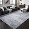 Toneed Abstract Area Rug Modern Washable Rug Soft Non Slip Rug Low Pile for Bedroom Living Room Dining Room Grey 4x6 Feet