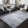 Toneed Abstract Area Rug Modern Washable Rug Soft Non Slip Rug Low Pile for Bedroom Living Room Dining Room Grey 4x6 Feet