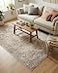 Rugs.com Rugscom Oregon Collection Rug 4 x 6 Ivory LowPile Rug Perfect for Living Rooms Large Dining Rooms Open Floorplans