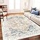 CHAMPLANT Washable Area Rug 5x7 for Living Room Retro Boho Chic Medallion Distressed Design Indoor NonSlip Large Oriental Accent Throw Rug for Kitchen Bedroom Office Carpet